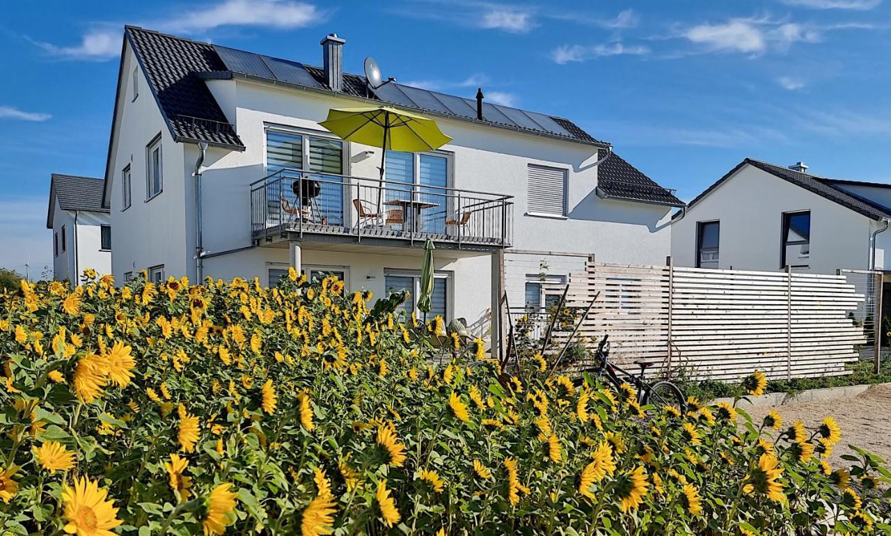 Ferienwohnung Reimann Mit Kostenloser Albcard 블라우보이렌 외부 사진