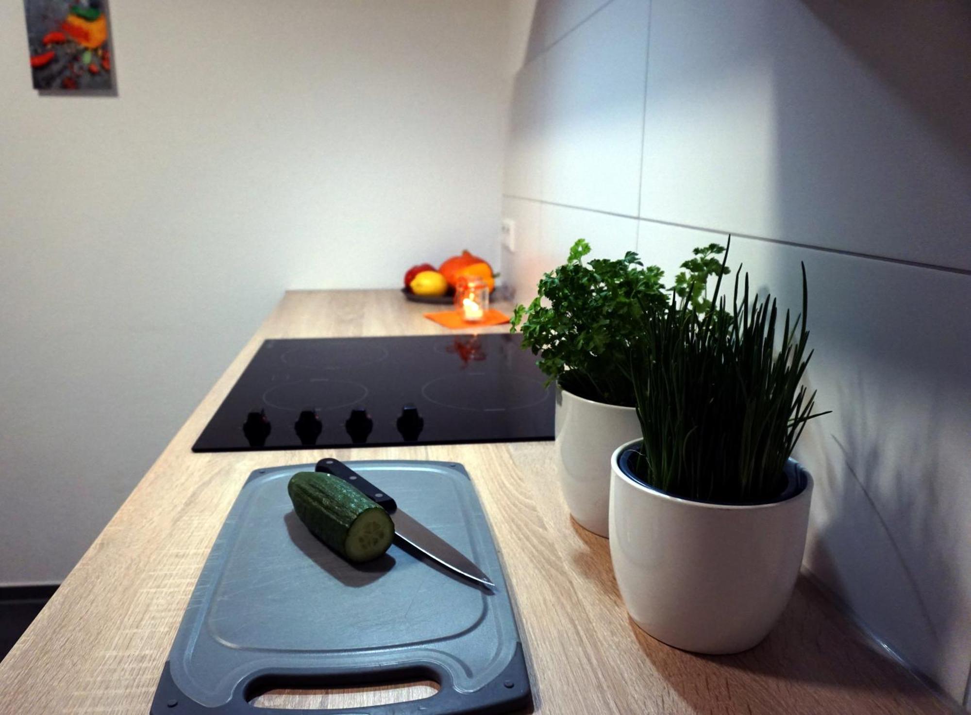 Ferienwohnung Reimann Mit Kostenloser Albcard 블라우보이렌 객실 사진